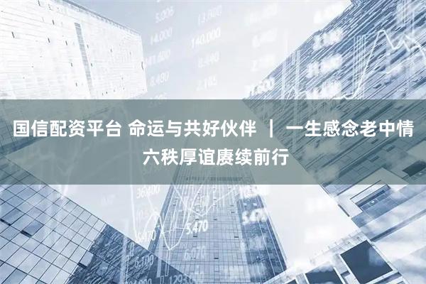 国信配资平台 命运与共好伙伴 ｜ 一生感念老中情 六秩厚谊赓续前行