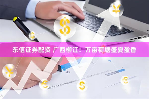 东信证券配资 广西柳江：万亩荷塘盛夏盈香