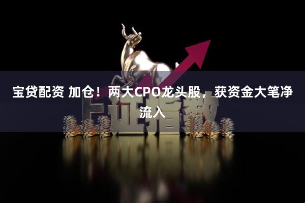 宝贷配资 加仓！两大CPO龙头股，获资金大笔净流入