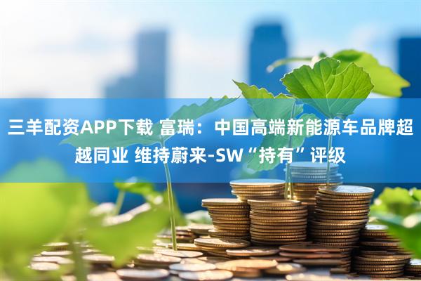 三羊配资APP下载 富瑞：中国高端新能源车品牌超越同业 维持蔚来-SW“持有”评级